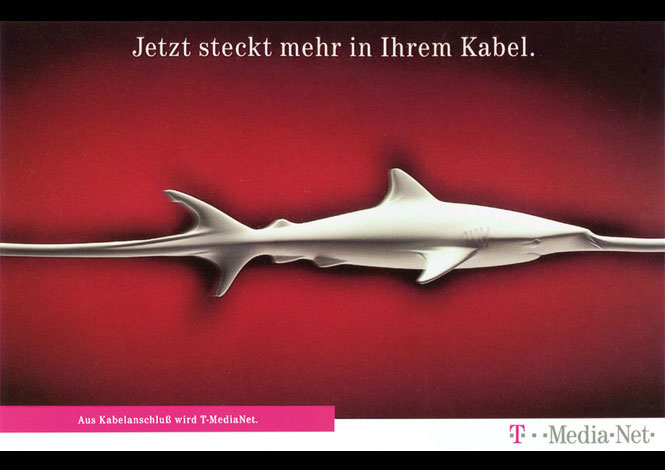 T-MediaNet_01_Hai.jpg