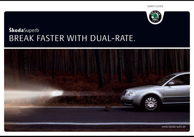 Skoda_07_Dual_Rate.jpg